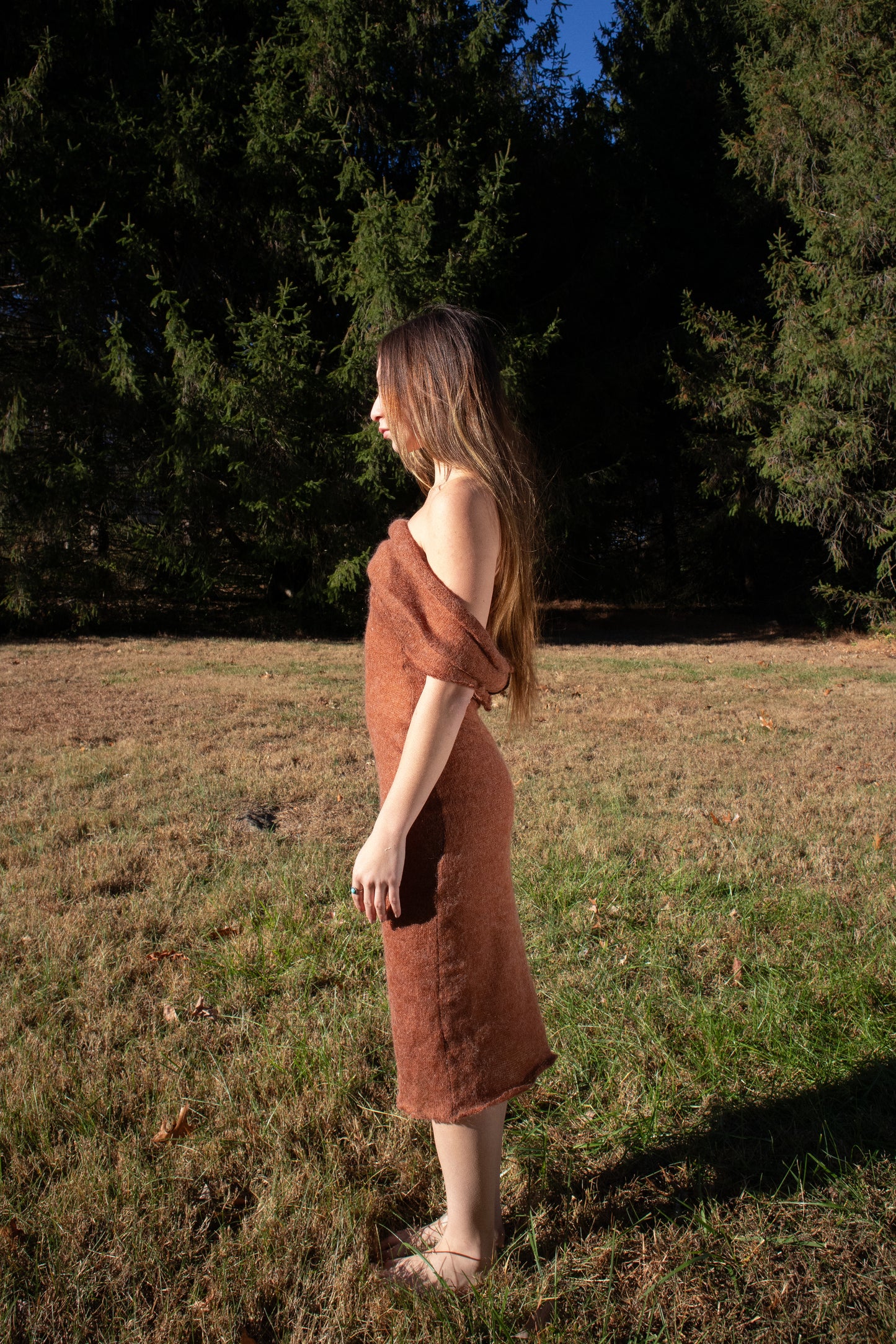 Cinnamon Dress