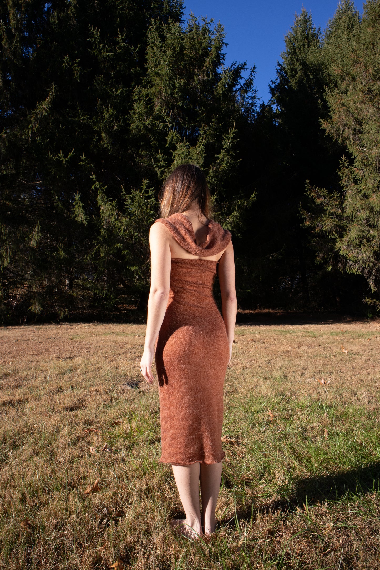 Cinnamon Dress
